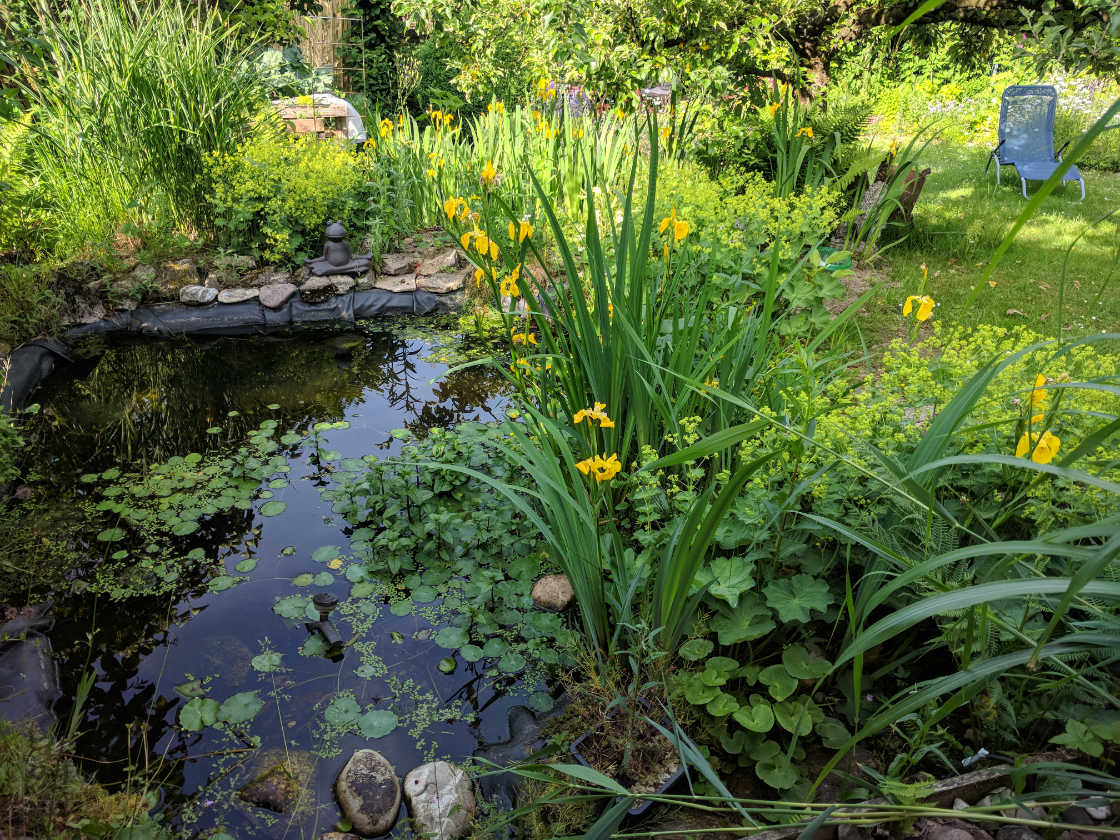 Sommer auf den 7 Hügeln Sommer auf den 7 Hügeln